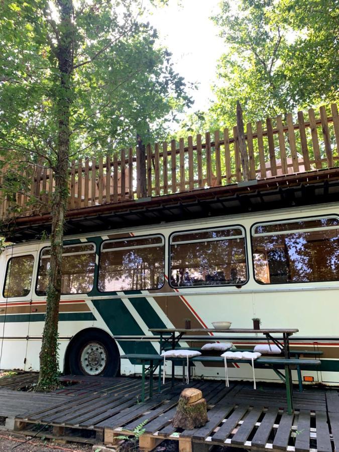 Magic Roof Top Bus With Big Bath In The Tree Forest! Мімізан Екстер'єр фото