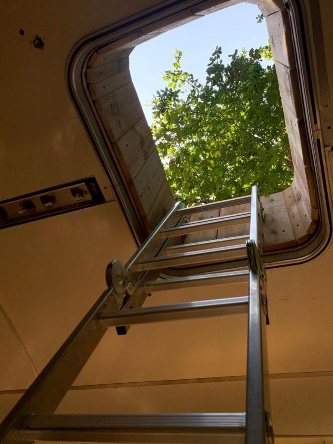 Magic Roof Top Bus With Big Bath In The Tree Forest! Мімізан Екстер'єр фото