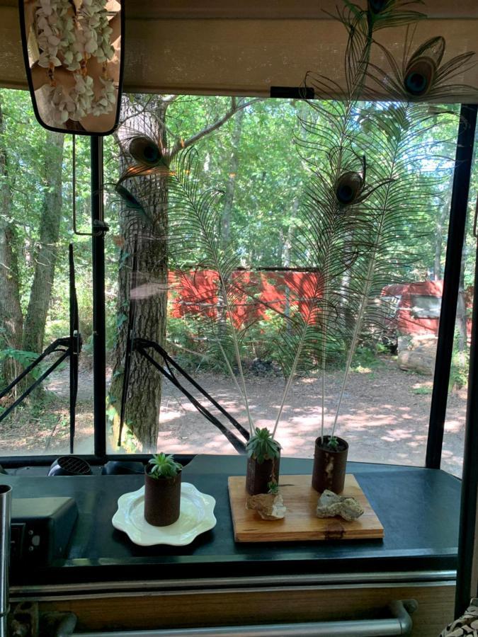 Magic Roof Top Bus With Big Bath In The Tree Forest! Мімізан Екстер'єр фото